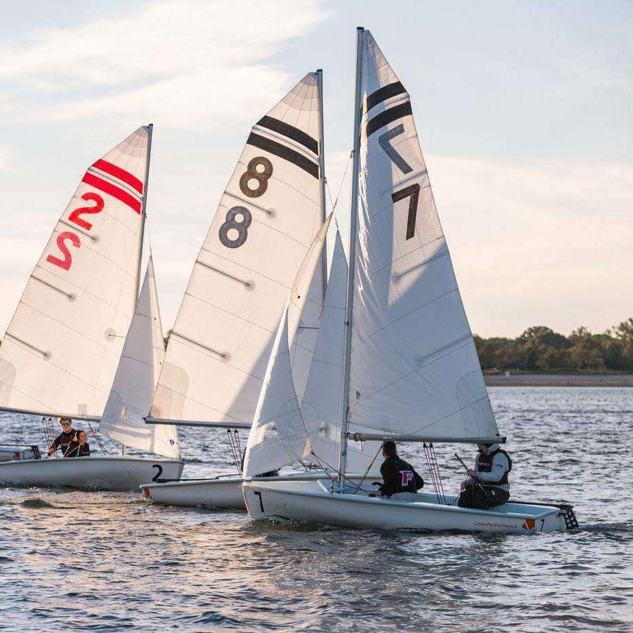 Five sailboats float in the water with a blue sky.
